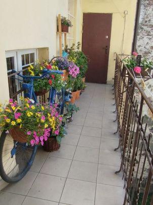 Miodowa Apartment Cracovia Exterior foto